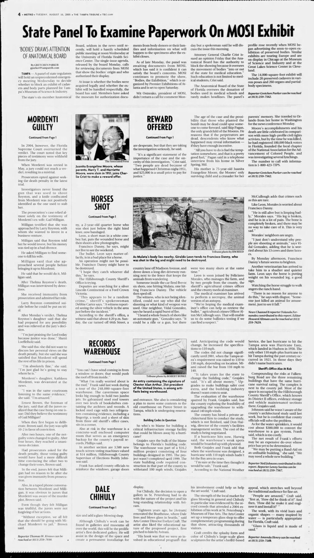 image of article Likely 'Random' Shooting Kills 1 Horse, Injures 2nd published in The Tampa Tribune newspaper 2nd page