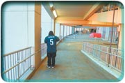 A lone sports fan