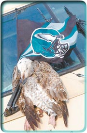A dead seagull, pierced with an Eagles banner and attached to an RV